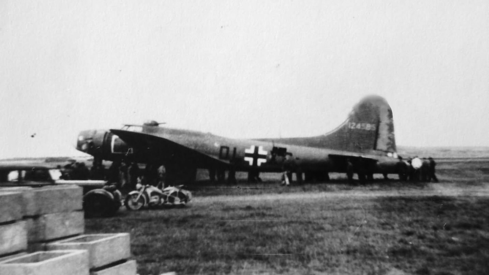 Captured Wulfe Hound B17